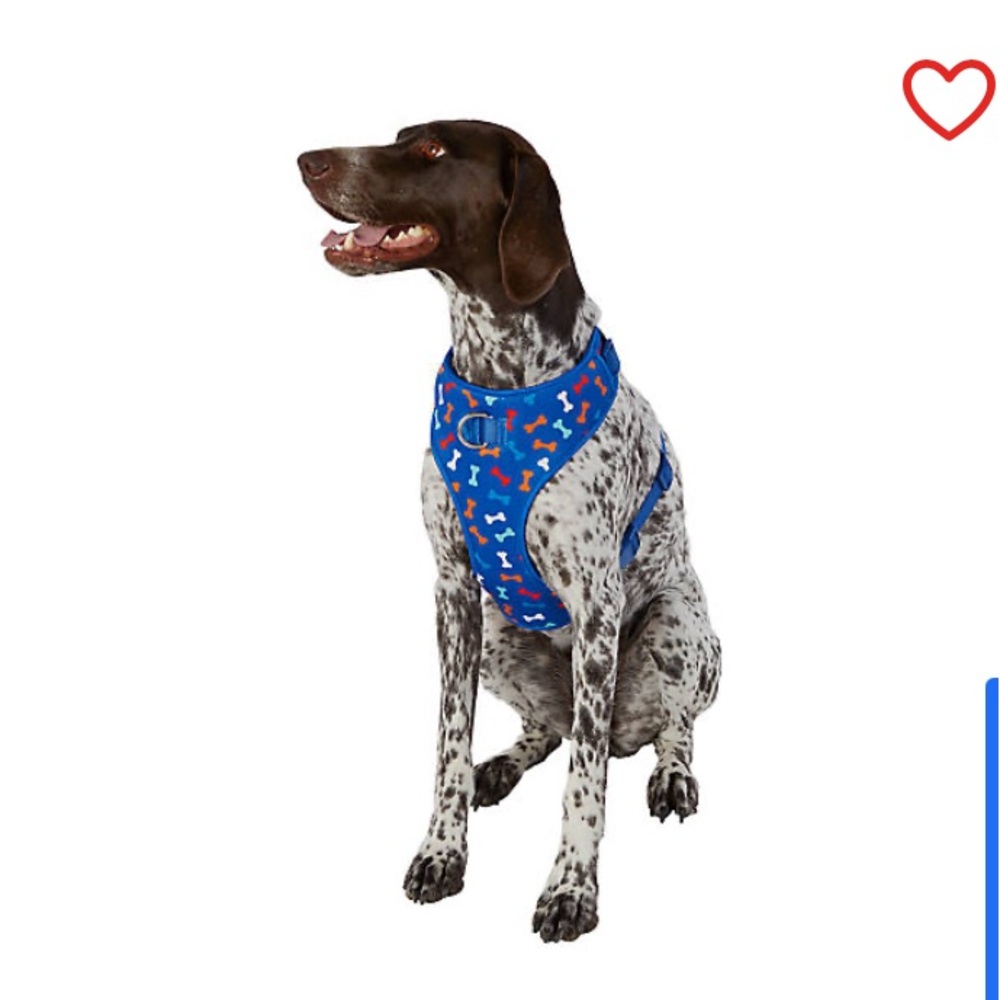 TOP PAWS medium dog harness with leash. M